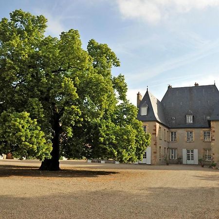 Bed and Breakfast Chateau Du Riau Villeneuve-sur-Allier Exterior foto