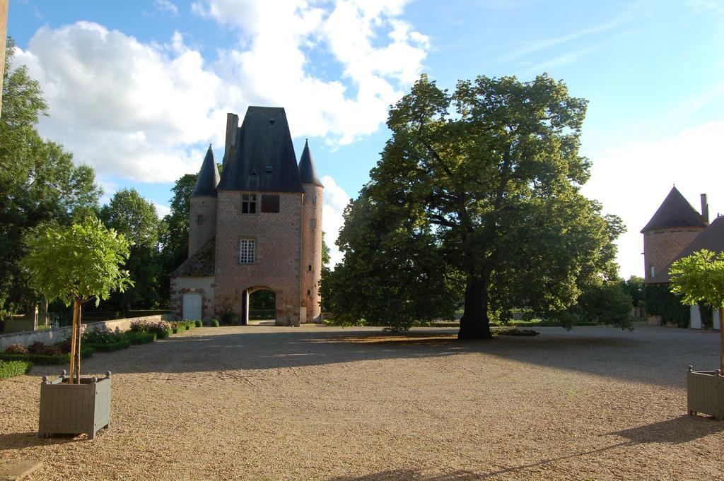 Bed and Breakfast Chateau Du Riau Villeneuve-sur-Allier Exterior foto
