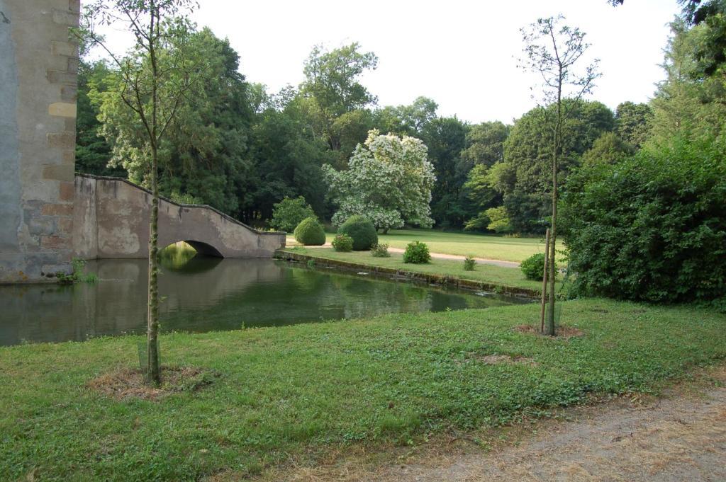 Bed and Breakfast Chateau Du Riau Villeneuve-sur-Allier Exterior foto
