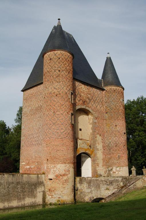 Bed and Breakfast Chateau Du Riau Villeneuve-sur-Allier Exterior foto